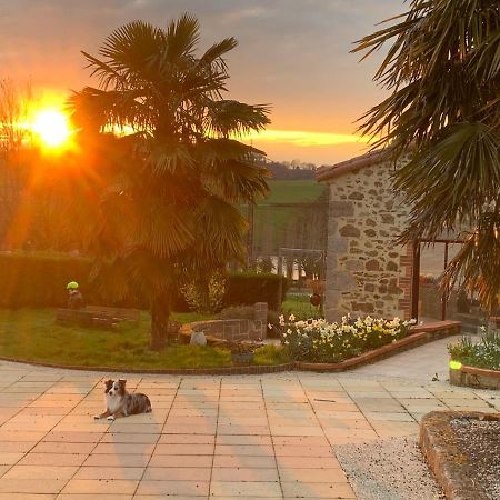 Bed and Breakfast La Basse Monniere Sevremont Exterior foto